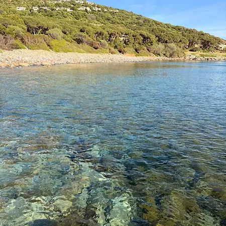 Nereidi-the Coastal *