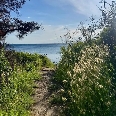 Apartmán Nereidi-the Coastal *